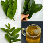 Infusión de Hojas de Guayaba, Guanábana y Mango con Cúrcuma Infusión de Hojas de Guayaba, Guanábana y Mango con Cúrcuma