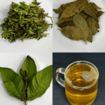 Infusión de Orégano, Laurel y Guayaba: Un Ritual Natural de Bienestar Infusión de Orégano, Laurel y Guayaba: Un Ritual Natural de Bienestar