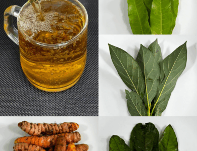 Infusión de Hojas de Mango, Naranja y Guanábana con Cúrcuma: Un Ritual Natural de Bienestar Infusión de Hojas de Mango, Naranja y Guanábana con Cúrcuma: Un Ritual Natural de Bienestar