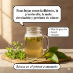 Las Hojas Milagrosas que Curan la Diabetes, la Presión Alta y la Mala Circulación Las Hojas Milagrosas que Curan la Diabetes, la Presión Alta y la Mala Circulación