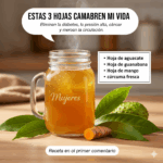 La Potente Bebida del Doctor Frank Suárez que Sana la Diabetes, la Presión Alta y la Mala Circulación La Potente Bebida del Doctor Frank Suárez que Sana la Diabetes, la Presión Alta y la Mala Circulación