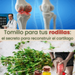 Tomillo: El Remedio Natural para Regenerar el Cartílago y Fortalecer las Rodillas Tomillo: El Remedio Natural para Regenerar el Cartílago y Fortalecer las Rodillas