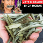 Un Enfoque Natural para Apoyar el Cáncer: La Perspectiva de Barbara O’Neill Un Enfoque Natural para Apoyar el Cáncer: La Perspectiva de Barbara O’Neill