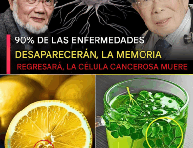 Secretos de Longevidad Japonesa: Lo Que Comen Cada Día los Médicos Más Longevos de Japón para Mantenerse Jóvenes y Fuertes Secretos de Longevidad Japonesa: Lo Que Comen Cada Día los Médicos Más Longevos de Japón para Mantenerse Jóvenes y Fuertes