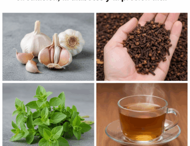 Limpia tus venas y mejora la circulación con esta bebida natural