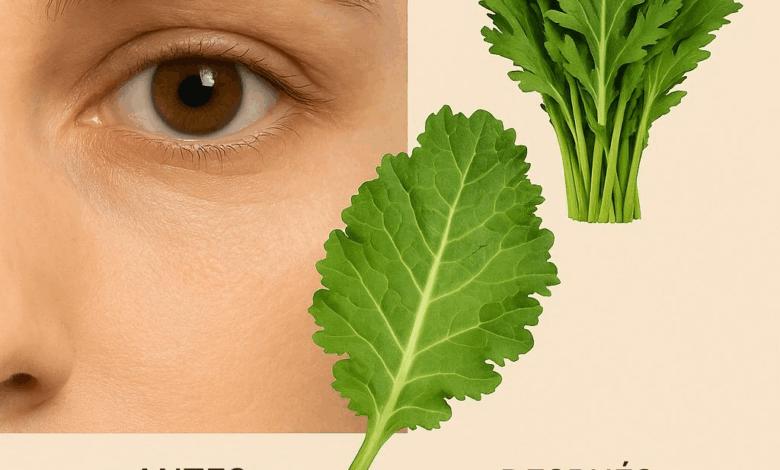 5 Hojas Poderosas Que Mejoran Tu Salud Ocular Naturalmente (Respaldadas por Nutrientes, No Medicamentos)