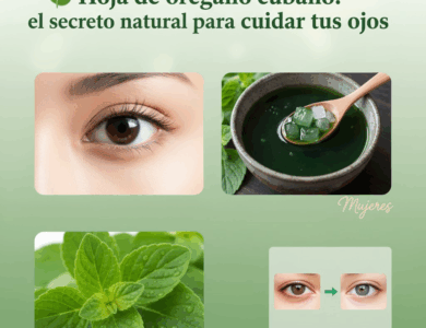 Orégano Brujo: La Planta Milagrosa que Mejora la Visión de Forma Natural