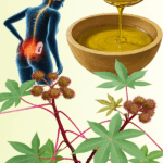 Planta de Ricino: El Tesoro Natural que Crece en tu Jardín Planta de Ricino: El Tesoro Natural que Crece en tu Jardín