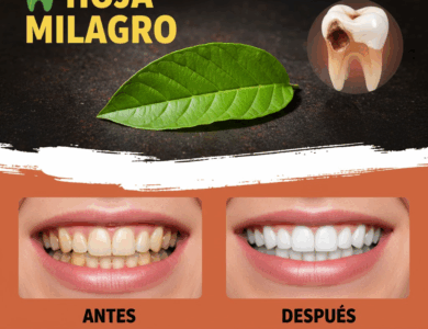 Hojas de Guayaba: El Secreto Natural para una Sonrisa Más Blanca y Saludable Hojas de Guayaba: El Secreto Natural para una Sonrisa Más Blanca y Saludable