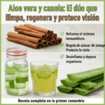 Aloe vera y canela: el dúo natural que fortalece tu salud y protege tu visión Aloe vera y canela: el dúo natural que fortalece tu salud y protege tu visión