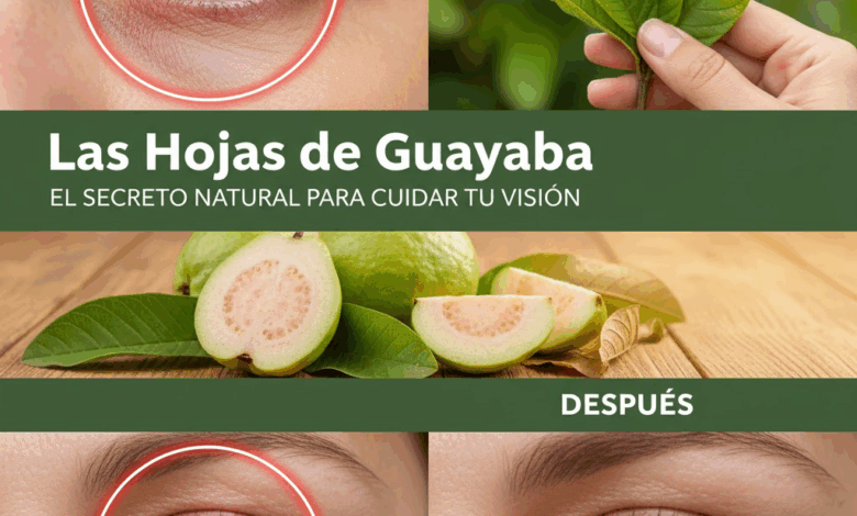 La Guayaba: El Secreto Natural para Cuidar tus Ojos y Mejorar tu Visión