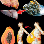 Semillas de Papaya: El Tesoro Oculto que Limpia, Cura y Fortalece tu Cuerpo