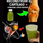 Batido Natural para Regenerar Cartílagos y Ligamentos: Nutrición Profunda para tus Articulaciones Batido Natural para Regenerar Cartílagos y Ligamentos: Nutrición Profunda para tus Articulaciones