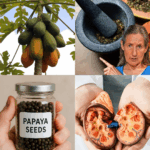 Las Semillas de Papaya: El Tesoro Oculto que Puede Transformar tu Salud