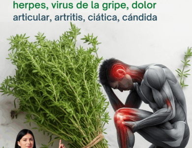 Tomillo: El Guardián Silencioso de la Vitalidad y el Bienestar Natural Tomillo: El Guardián Silencioso de la Vitalidad y el Bienestar Natural
