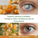 Uchuva: La Fruta Dorada que Protege y Fortalece tu Visión Naturalmente Uchuva: La Fruta Dorada que Protege y Fortalece tu Visión Naturalmente