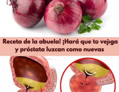 Cebolla y Cáscaras: Remedios Naturales para la Salud de la Vejiga y la Próstata Cebolla y Cáscaras: Remedios Naturales para la Salud de la Vejiga y la Próstata