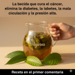 La infusión de hojas naturales recomendada por el Dr. Suárez para la diabetes, la circulación y la presión