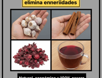 Bebida natural para purificar la sangre y combatir múltiples enfermedades Bebida natural para purificar la sangre y combatir múltiples enfermedades