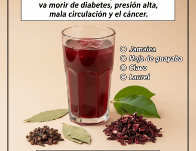 Una infusión poderosa para la circulación, la presión y la diabetes Una infusión poderosa para la circulación, la presión y la diabetes