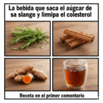 La bebida centenaria que ayuda a regular el azúcar, limpiar el colesterol y proteger los riñones La bebida centenaria que ayuda a regular el azúcar, limpiar el colesterol y proteger los riñones