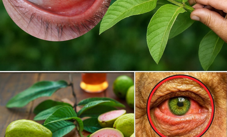 La Guayaba: El Secreto Natural para Cuidar tus Ojos y Mejorar tu Visión