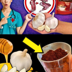 El Elixir de Café, Ajo y Miel: Energía, Defensa y Vitalidad en una Sola Taza