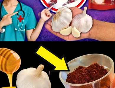 El Elixir de Café, Ajo y Miel: Energía, Defensa y Vitalidad en una Sola Taza