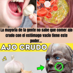 Qué pasa si comes ajo en ayunas por una semana