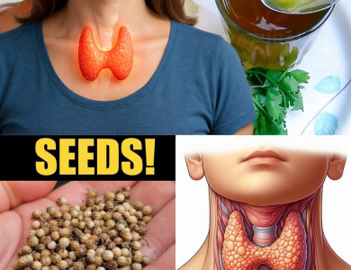 Cómo Cuidar Tu Tiroides Naturalmente: Un Enfoque Holístico para Recuperar Energía y Equilibrio Cómo Cuidar Tu Tiroides Naturalmente: Un Enfoque Holístico para Recuperar Energía y Equilibrio