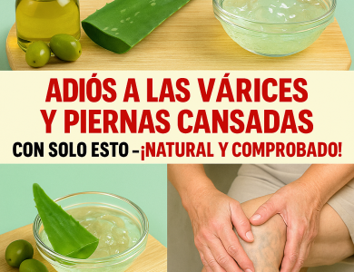 Aloe Vera para Piernas Cansadas y Várices: El Remedio Natural que Mejora la Circulación y Alivia la Inflamación