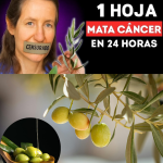 Barbara O’Neill: Sanar el Cuerpo Transformando su Entorno Interno Barbara O’Neill: Sanar el Cuerpo Transformando su Entorno Interno