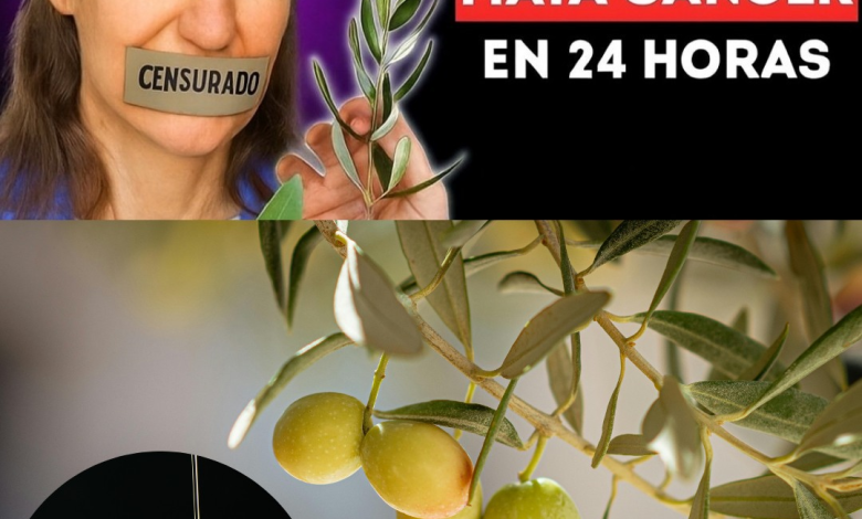 Barbara O’Neill: Sanar el Cuerpo Transformando su Entorno Interno