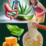 12 Razones por las que las Mujeres Deben Beber Agua de Aloe Vera con Miel Todos los Días
