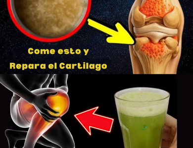 Batido Natural para Regenerar Cartílagos y Ligamentos: La Receta que Revitaliza tus Articulaciones