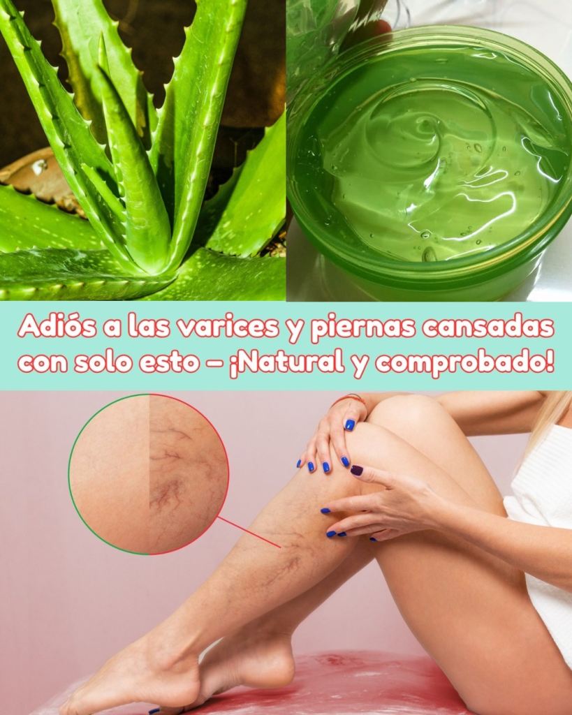 Aloe Vera para Piernas Cansadas y Várices: El Gel Natural que Alivia, Refresca y Mejora la Circulación