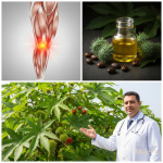 Descubre el Oro Escondido en Tu Jardín: El Poder Asombroso de las Hojas de Ricino para tu Salud