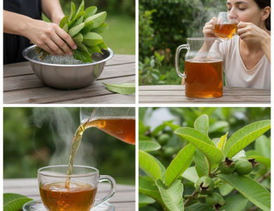 El Elixir Dorado en Tu Jardín: El Té de Hojas de Guayaba y Sus Beneficios Para una Salud Refrescante