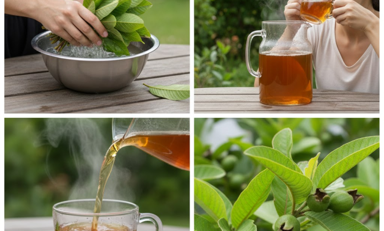El Elixir Dorado en Tu Jardín: El Té de Hojas de Guayaba y Sus Beneficios Para una Salud Refrescante