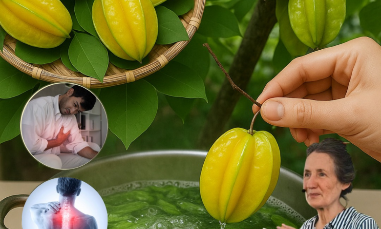 Las Hojas de Carambola: El Secreto Oculto de un Árbol Poderoso (y Peligroso si no se usa bien)