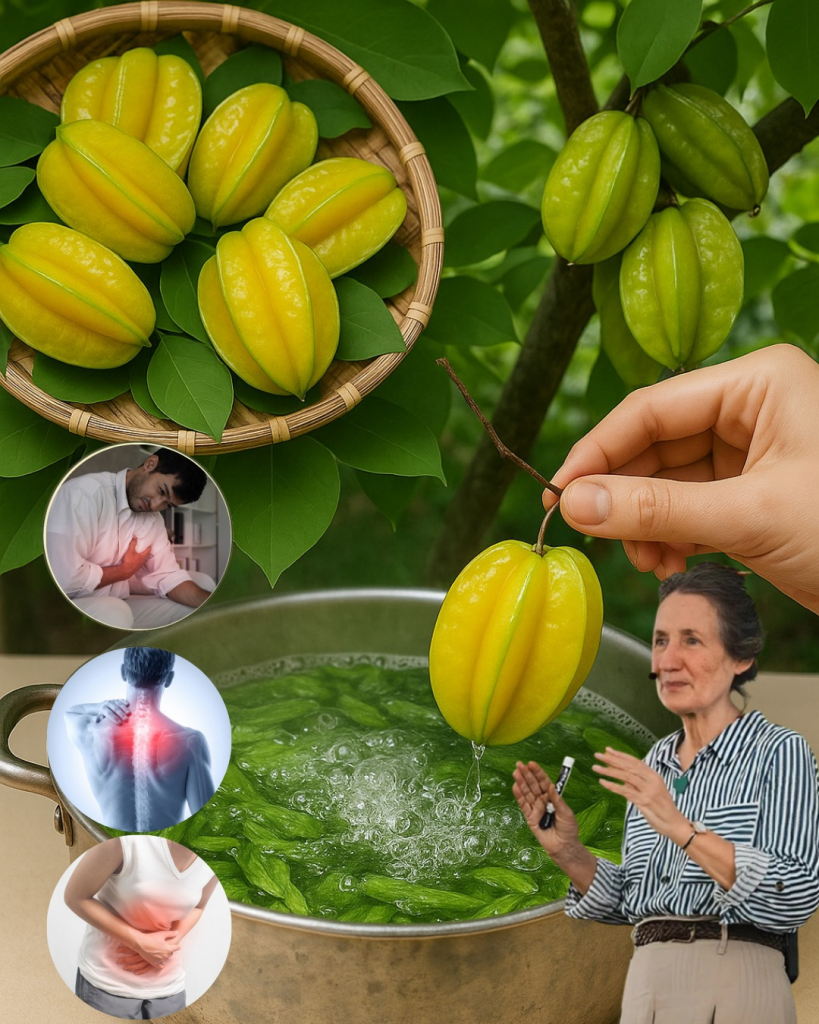 Las Hojas de Carambola: El Secreto Oculto de un Árbol Poderoso (y Peligroso si no se usa bien)