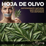 Barbara O’Neill y el Cáncer: No Solo Luchar contra el Tumor, sino Transformar el Terreno Interno Barbara O’Neill y el Cáncer: No Solo Luchar contra el Tumor, sino Transformar el Terreno Interno