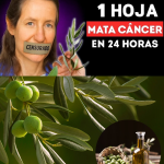 La Filosofía de Barbara O’Neill: Sanar el Cuerpo Transformando su Entorno La Filosofía de Barbara O’Neill: Sanar el Cuerpo Transformando su Entorno