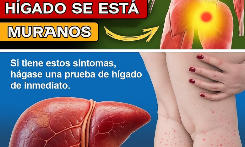 12 Signos Tempranos de Cirrosis Hepática que Nunca Debes Ignorar