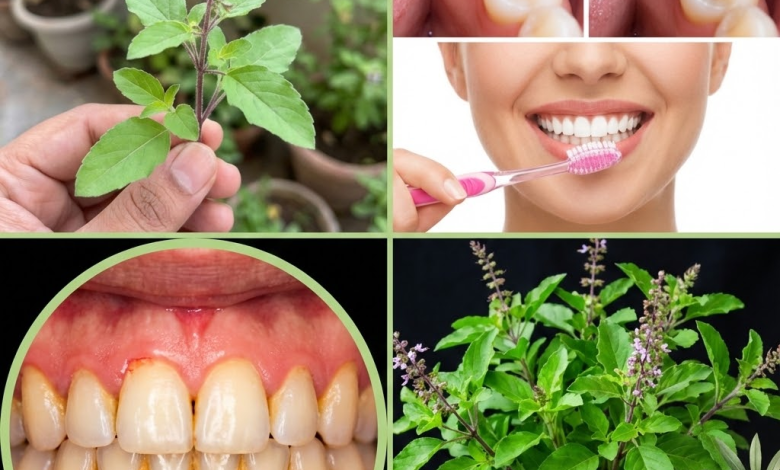 Tulsi: La Hierba Sagrada que Transforma tu Sonrisa de Forma Natural