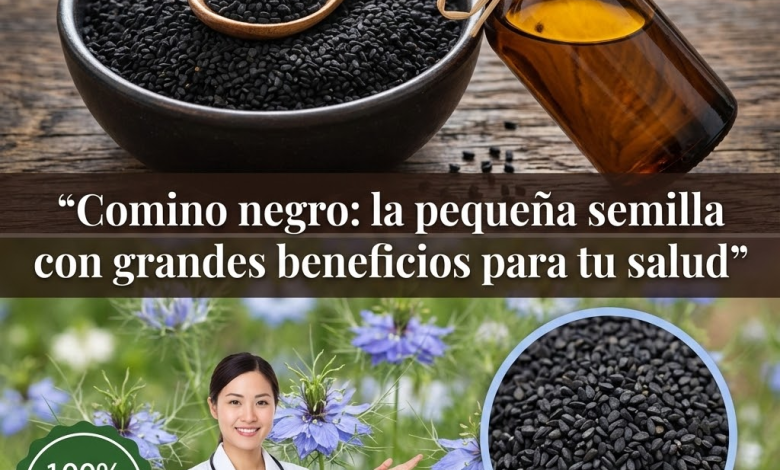 Comino Negro: Propiedades, Usos y Remedios Caseros para Potenciar tu Salud