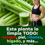 Jugo de Apio para Limpiar Riñones, Hígado y Pulmones: Depuración Natural en un Solo Vaso
