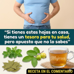 Infusión de Guayaba, Laurel y Orégano Orejón: Remedio Natural para el Hígado Graso y la Presión Arterial Alta