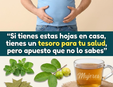Infusión de Guayaba, Laurel y Orégano Orejón: Remedio Natural para el Hígado Graso y la Presión Arterial Alta