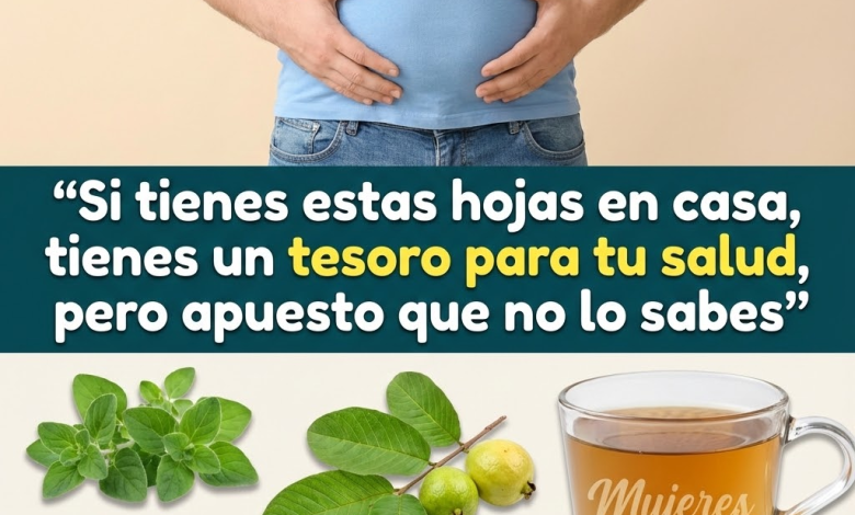Infusión de Guayaba, Laurel y Orégano Orejón: Remedio Natural para el Hígado Graso y la Presión Arterial Alta
